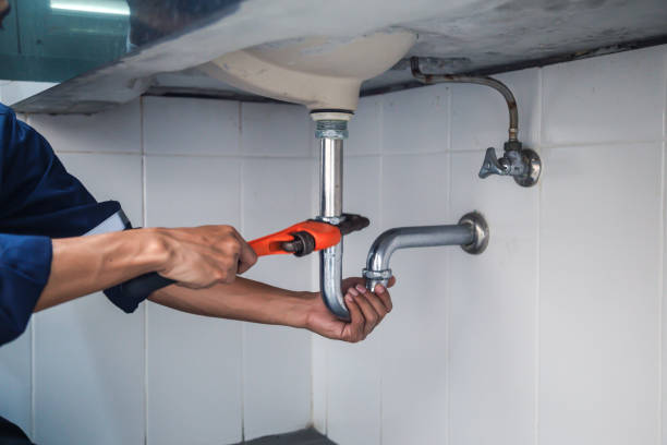 Best Toilet Repair Services  in Sheridan, IN